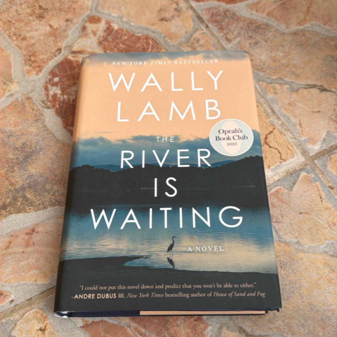 The River Is Waiting (Oprah's Book Club)