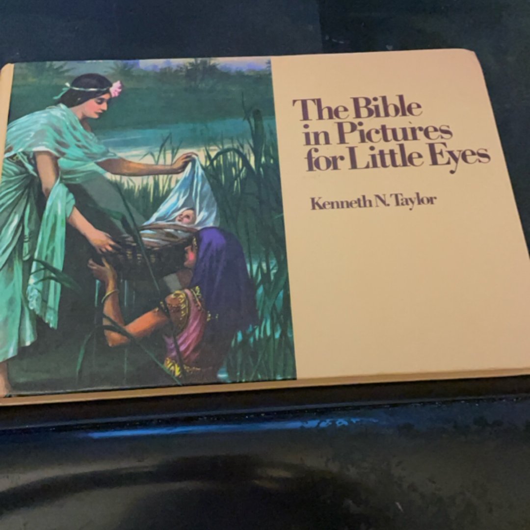 The Bible in Pictures for Little Eyes