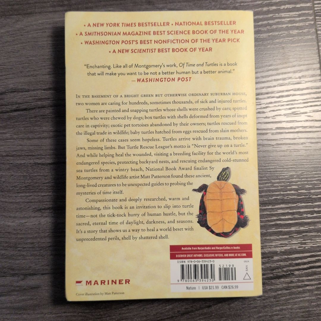 Of Time and Turtles