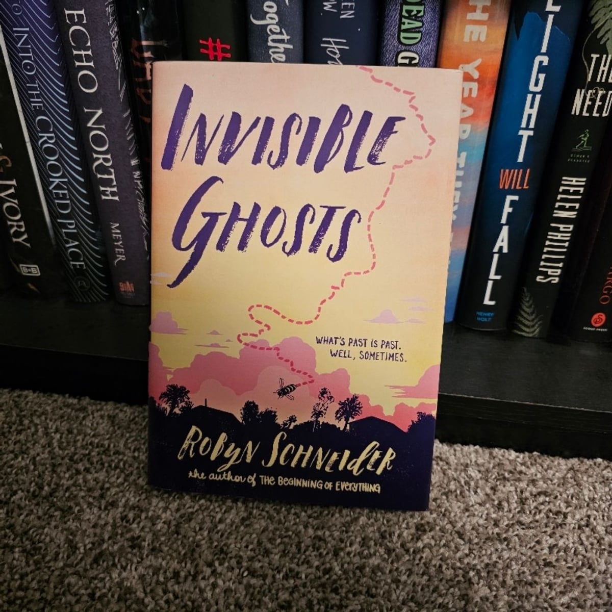 Invisible Ghosts by Robyn Schneider