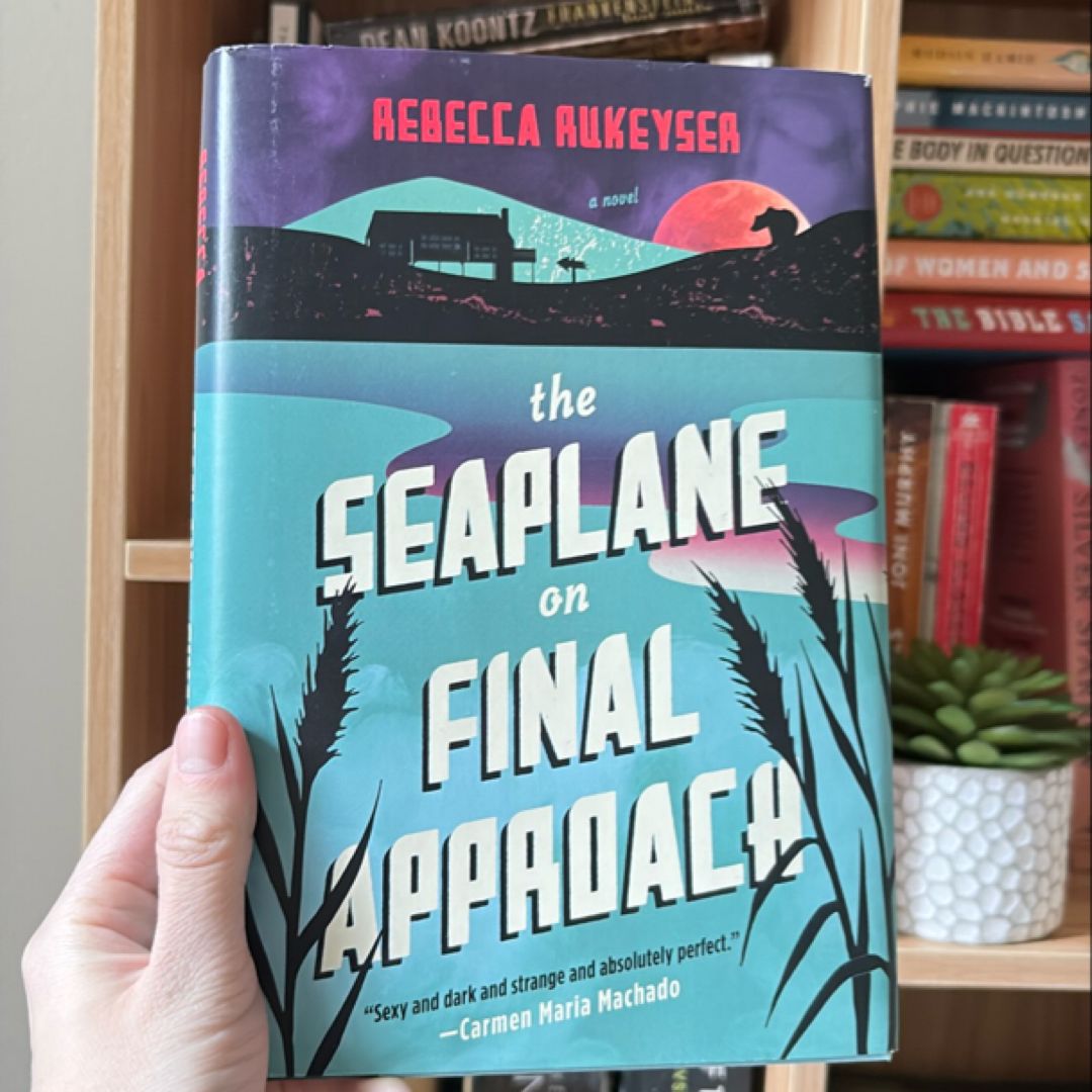 The Seaplane on Final Approach