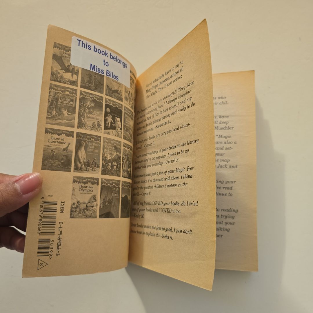 Dingoes at Dinnertime