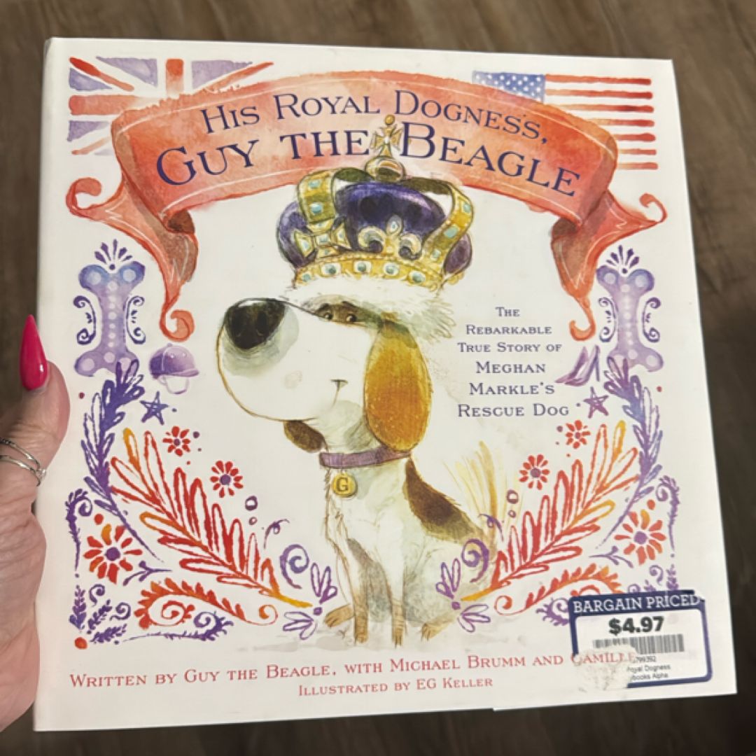 His Royal Dogness, Guy the Beagle