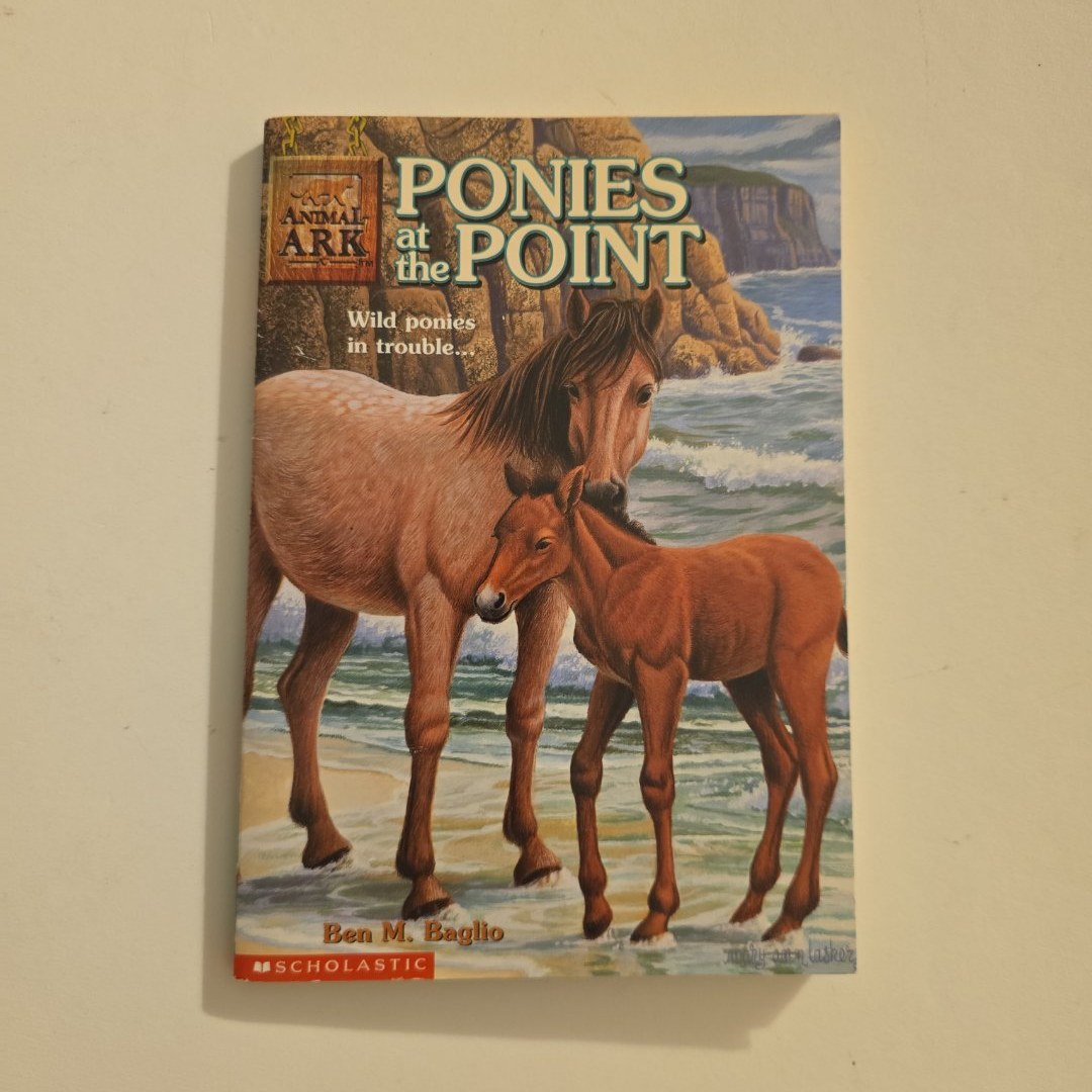 Ponies at the Point