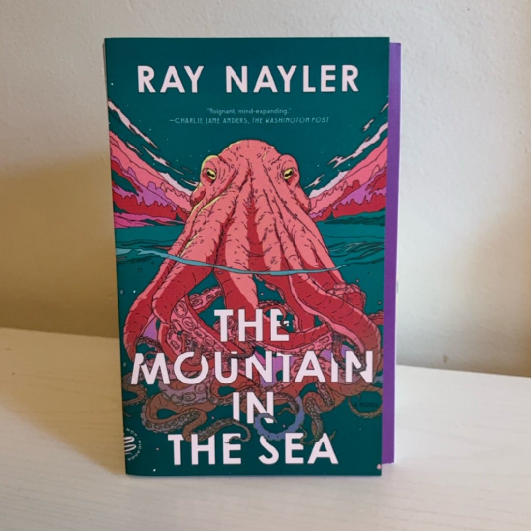 The Mountain in the Sea