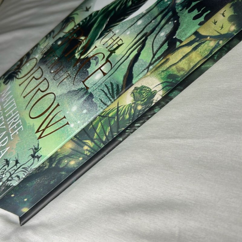 The Prince Without Sorrow