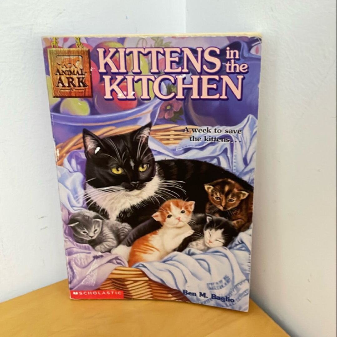 Kittens in the Kitchen
