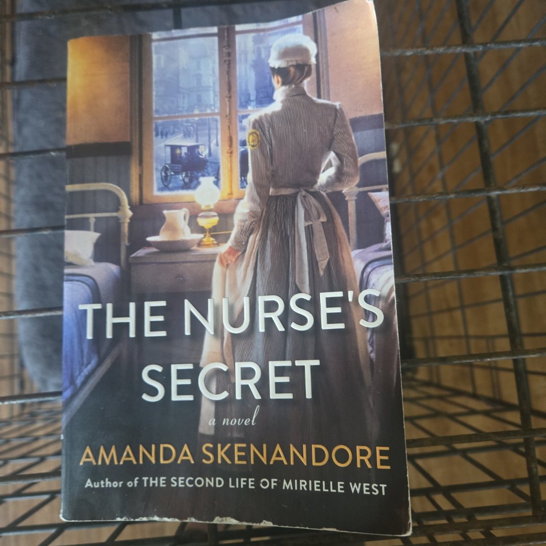 The Nurse's Secret