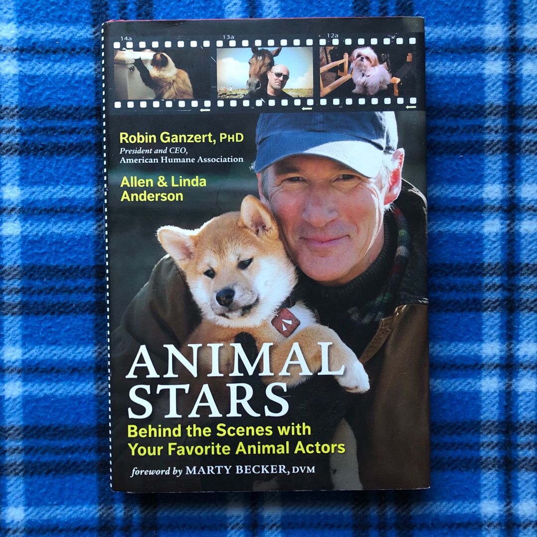 Animal Stars