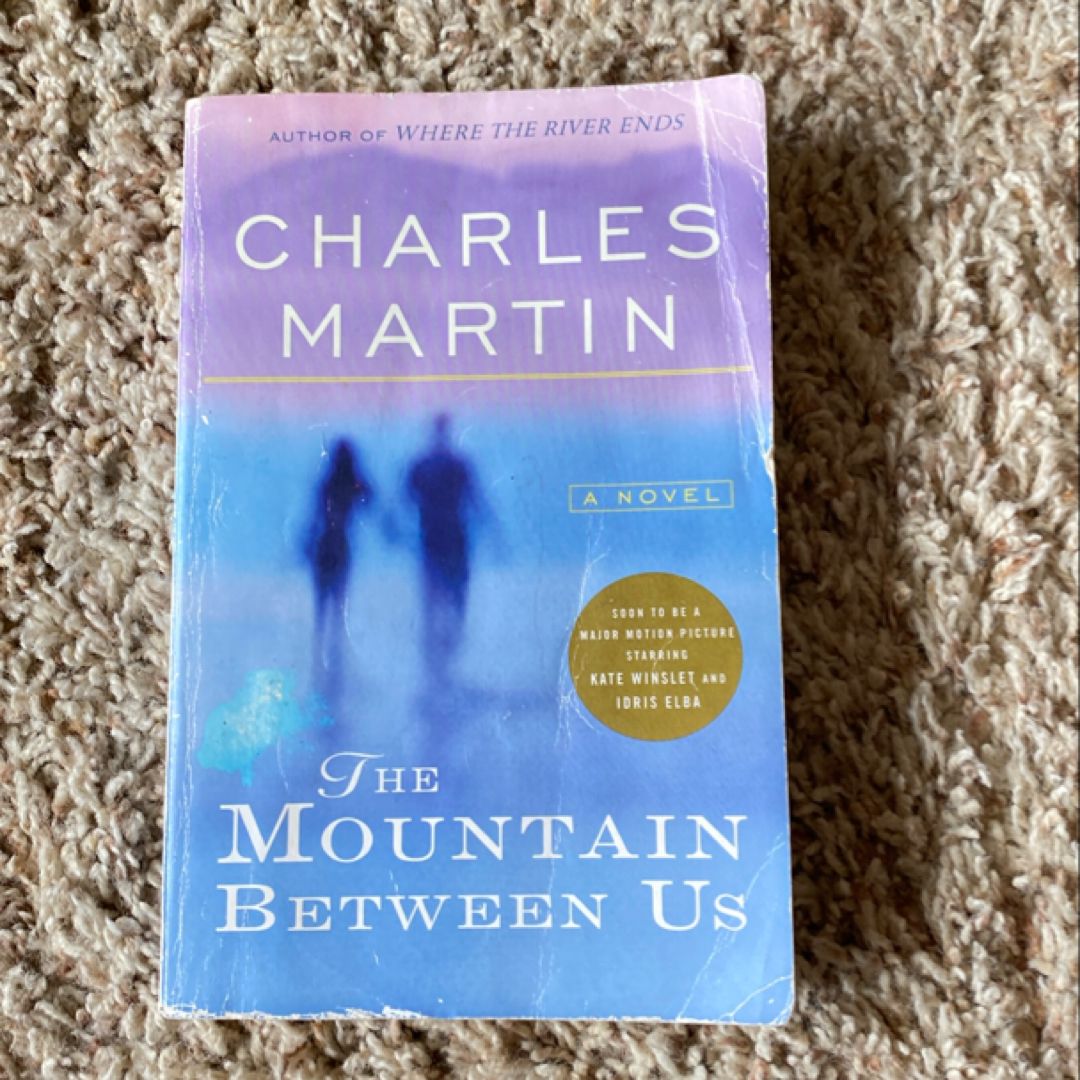 The Mountain Between Us