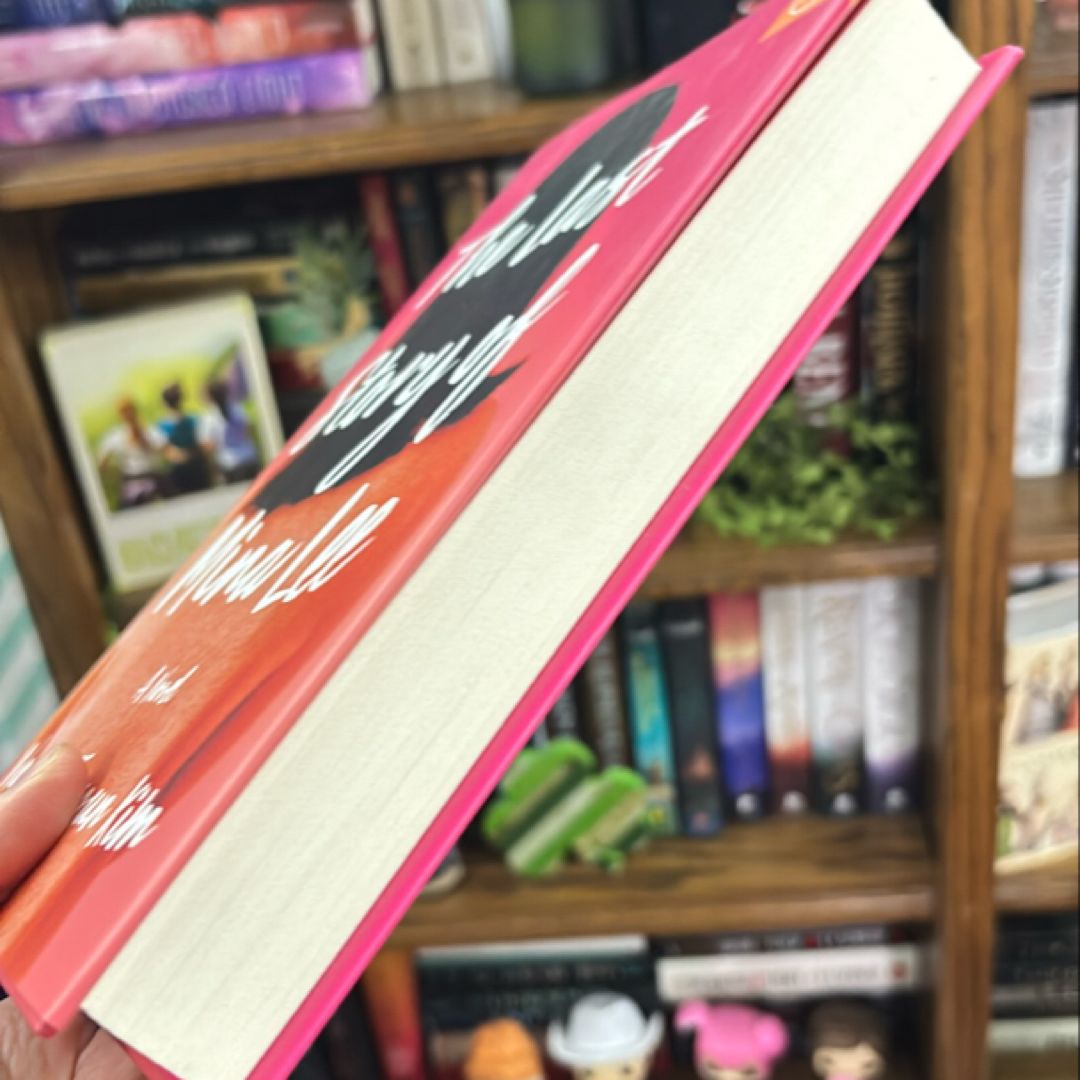 The Last Story of Mina Lee