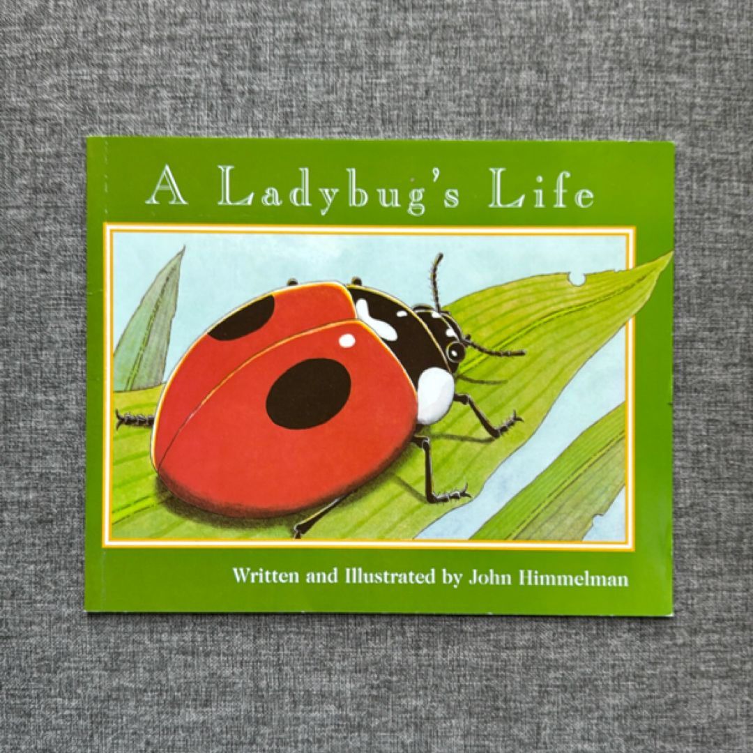A Ladybug's Life (Nature Upclose)
