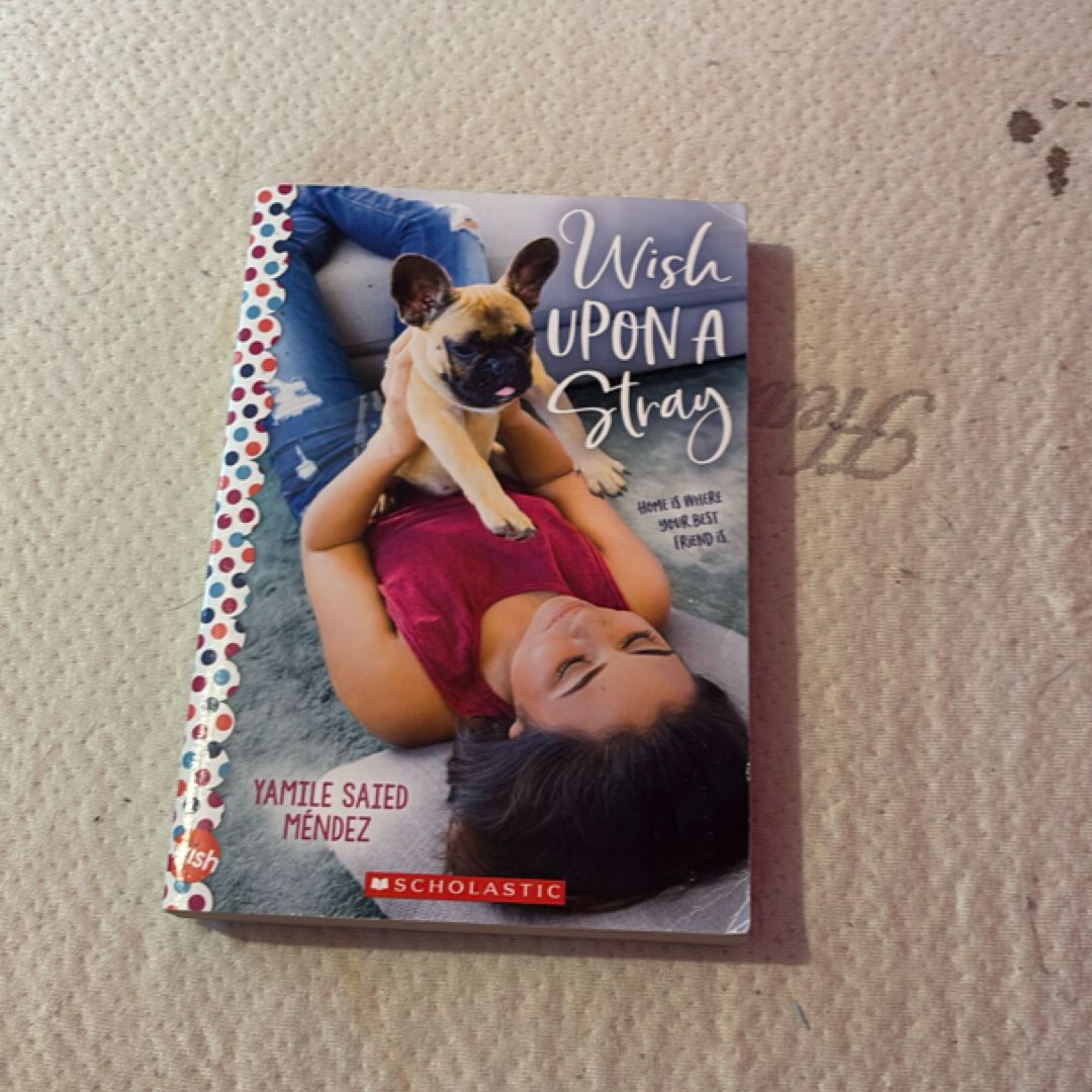 Wish upon a Stray: a Wish Novel