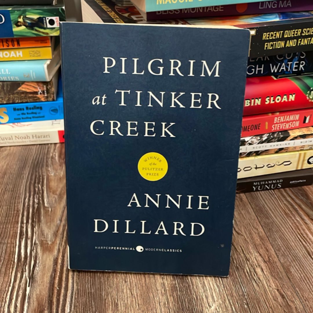 Pilgrim at Tinker Creek