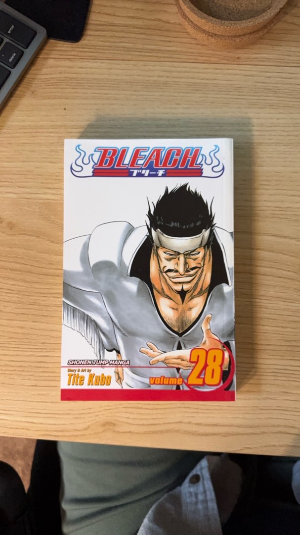Bleach, Vol. 28
