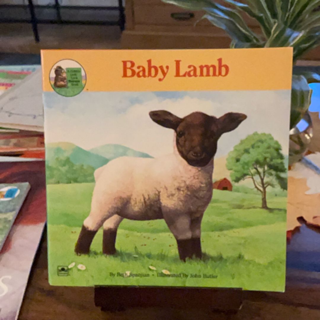 Baby Animals Book Bundle