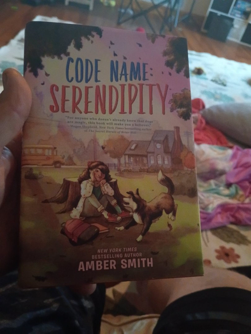 Code Name: Serendipity
