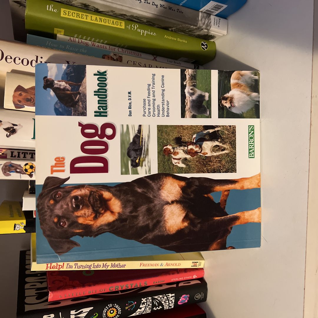 the dog handbook