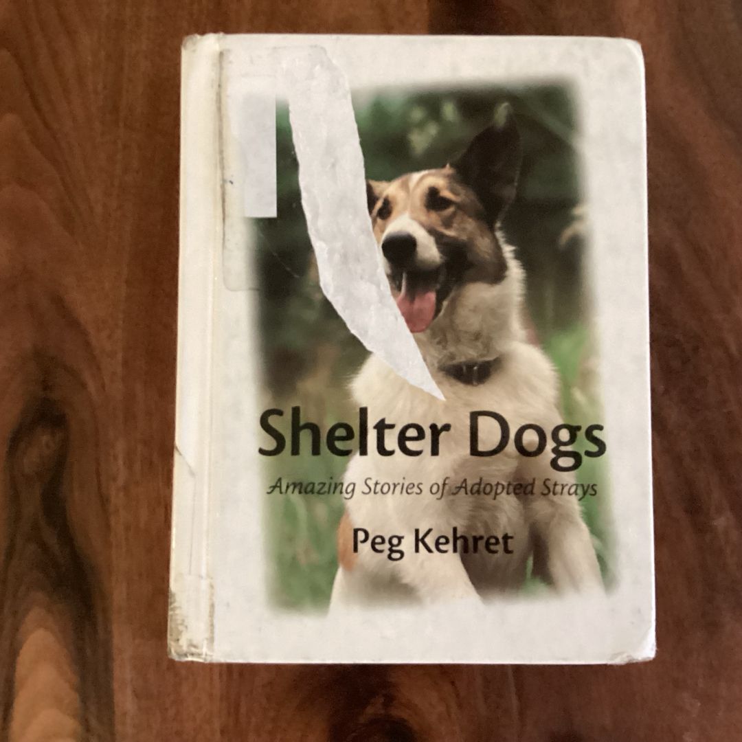 Shelter Dogs