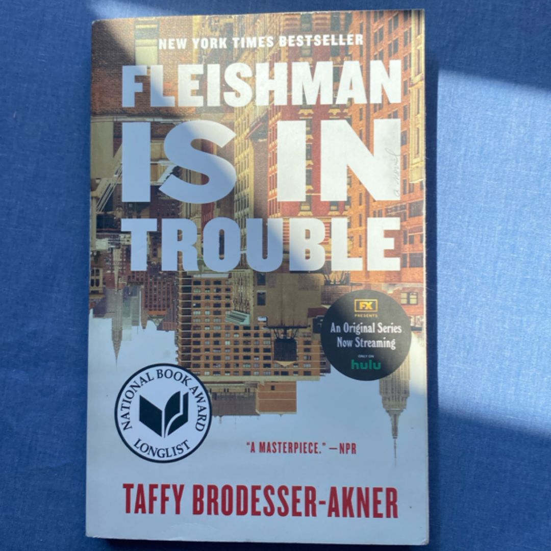 Fleishman Is in Trouble