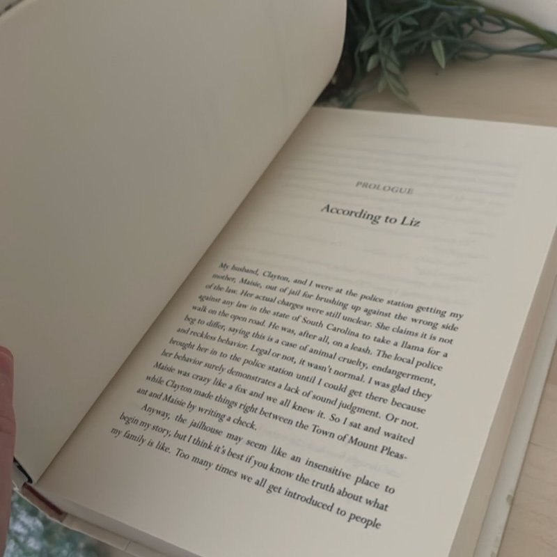 The Hurricane Sisters