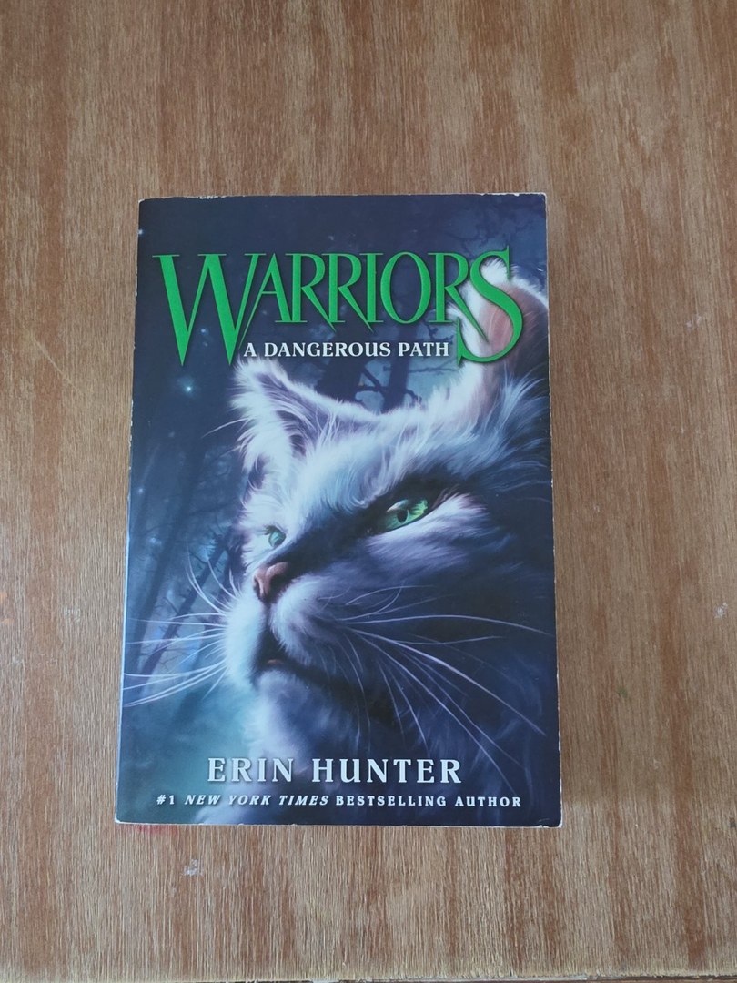 Warriors #5: a Dangerous Path