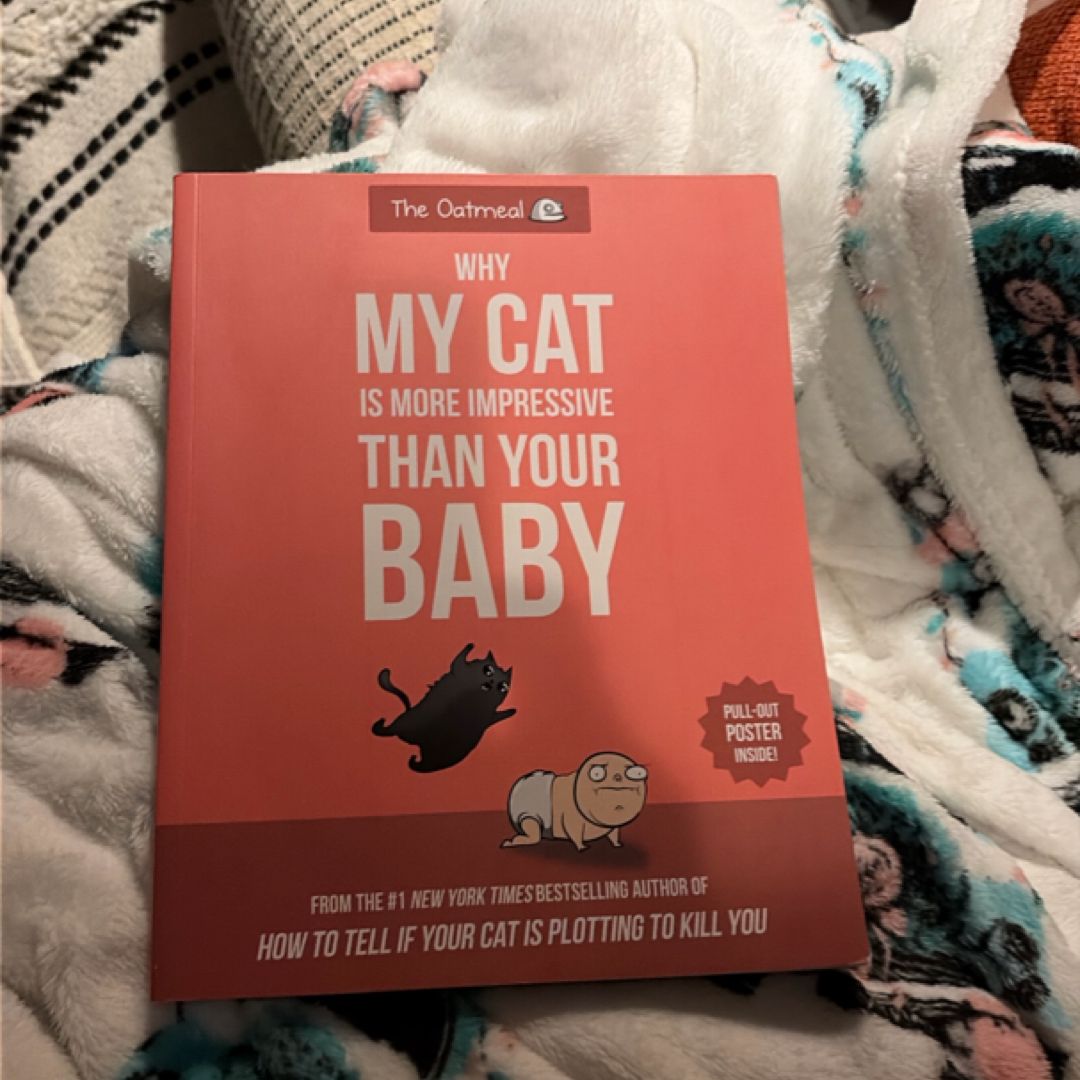 Why My Cat Is More Impressive Than Your Baby