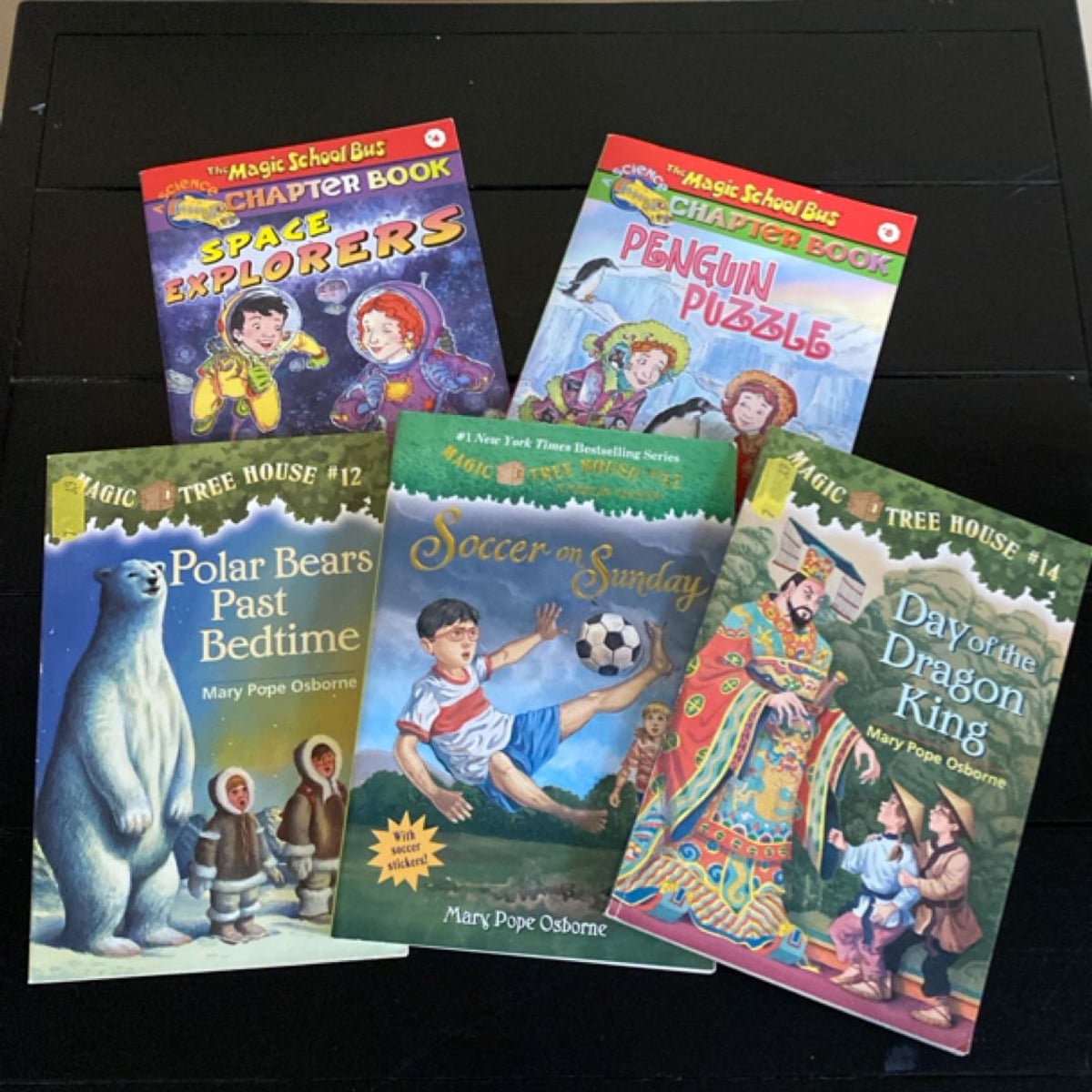 Children’s Chapter Book Lot: Magic Treehouse Magic School Bus by Mary ...