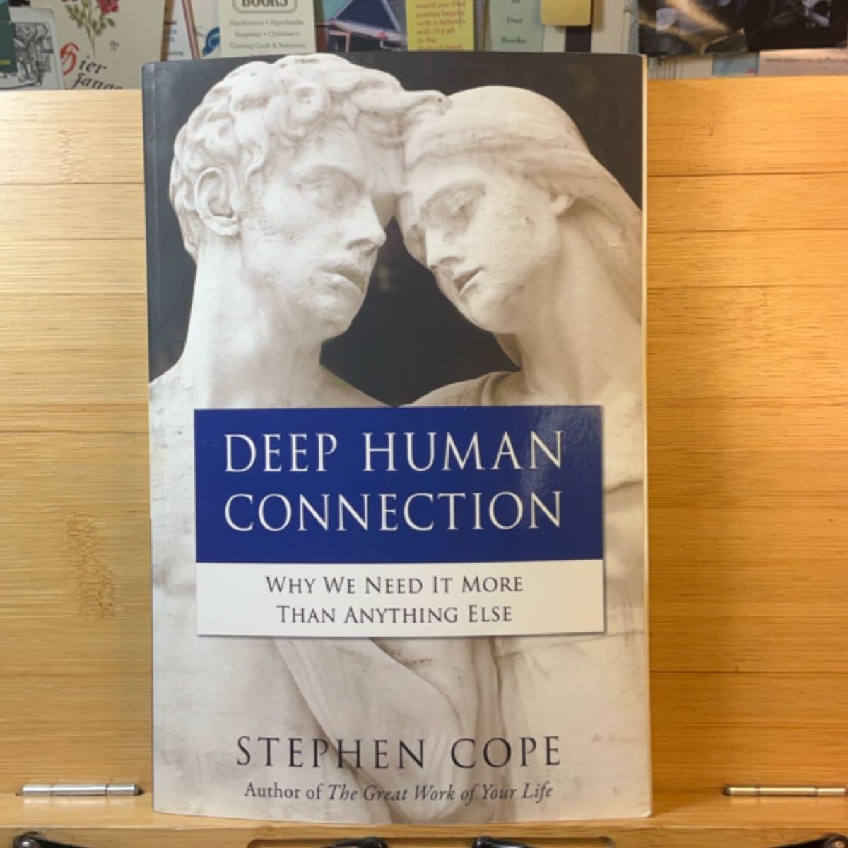 Deep Human Connection by Stephen Cope, Paperback | Pangobooks