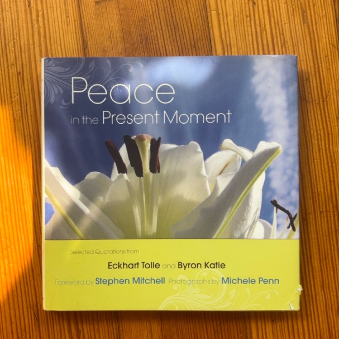 Peace in the Present Moment
