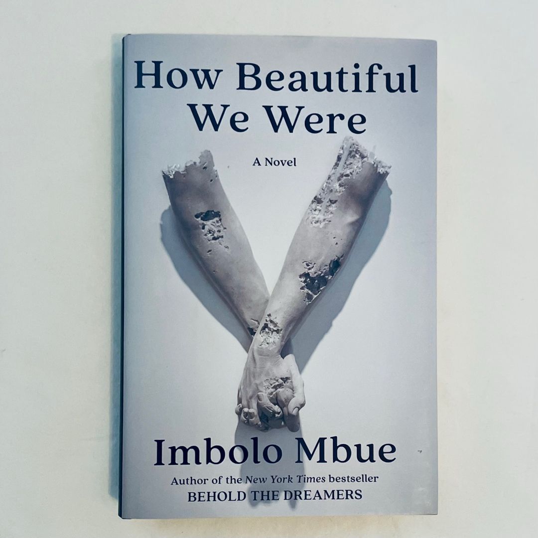 How Beautiful We Were