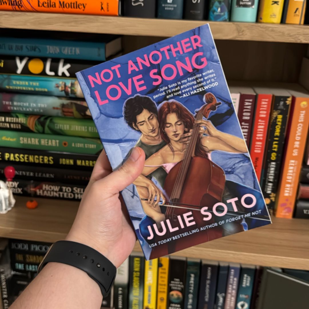 Not Another Love Song