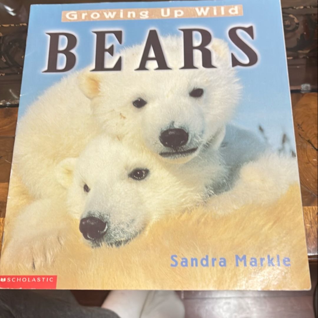 Bears (Growing up Wild)