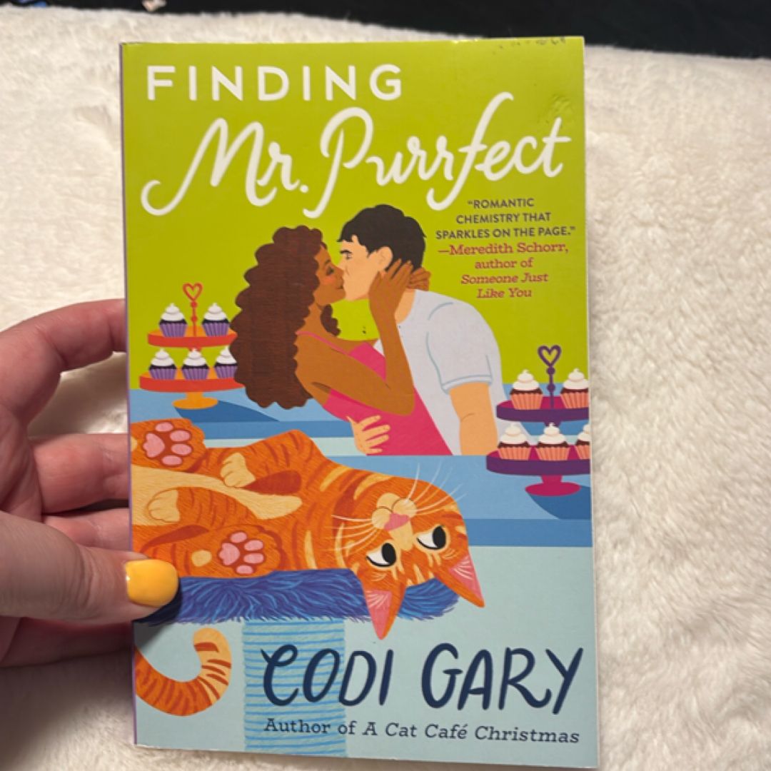 Finding Mr. Purrfect