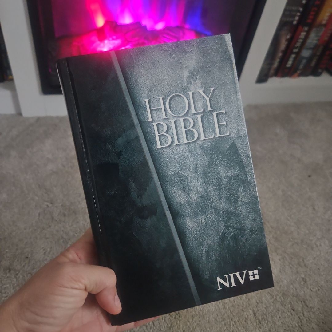 NIV Economy Bible