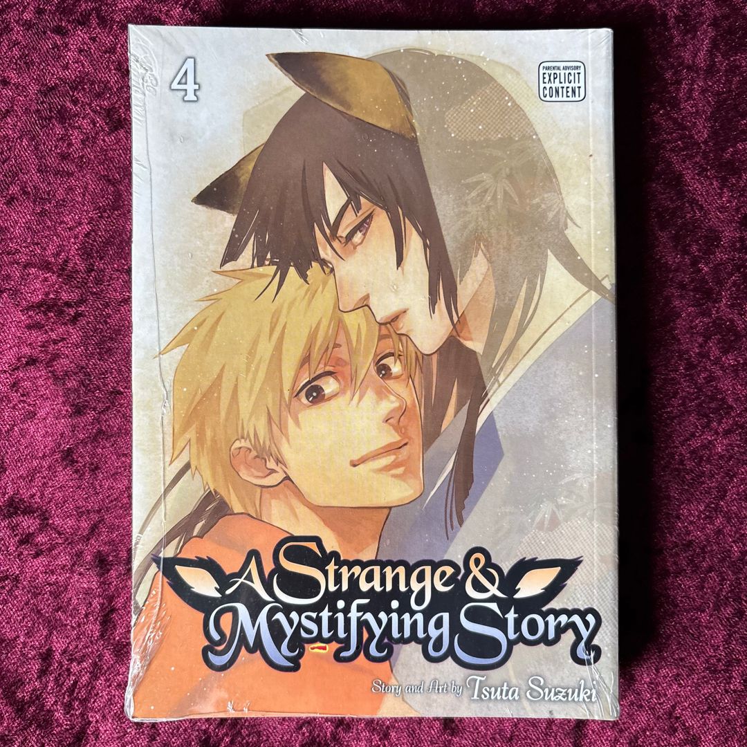 A Strange and Mystifying Story, Vol. 4