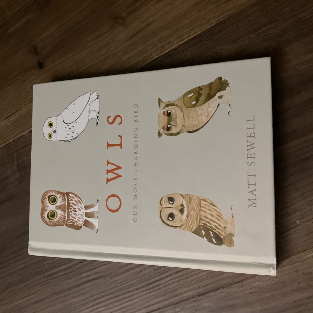 Owls
