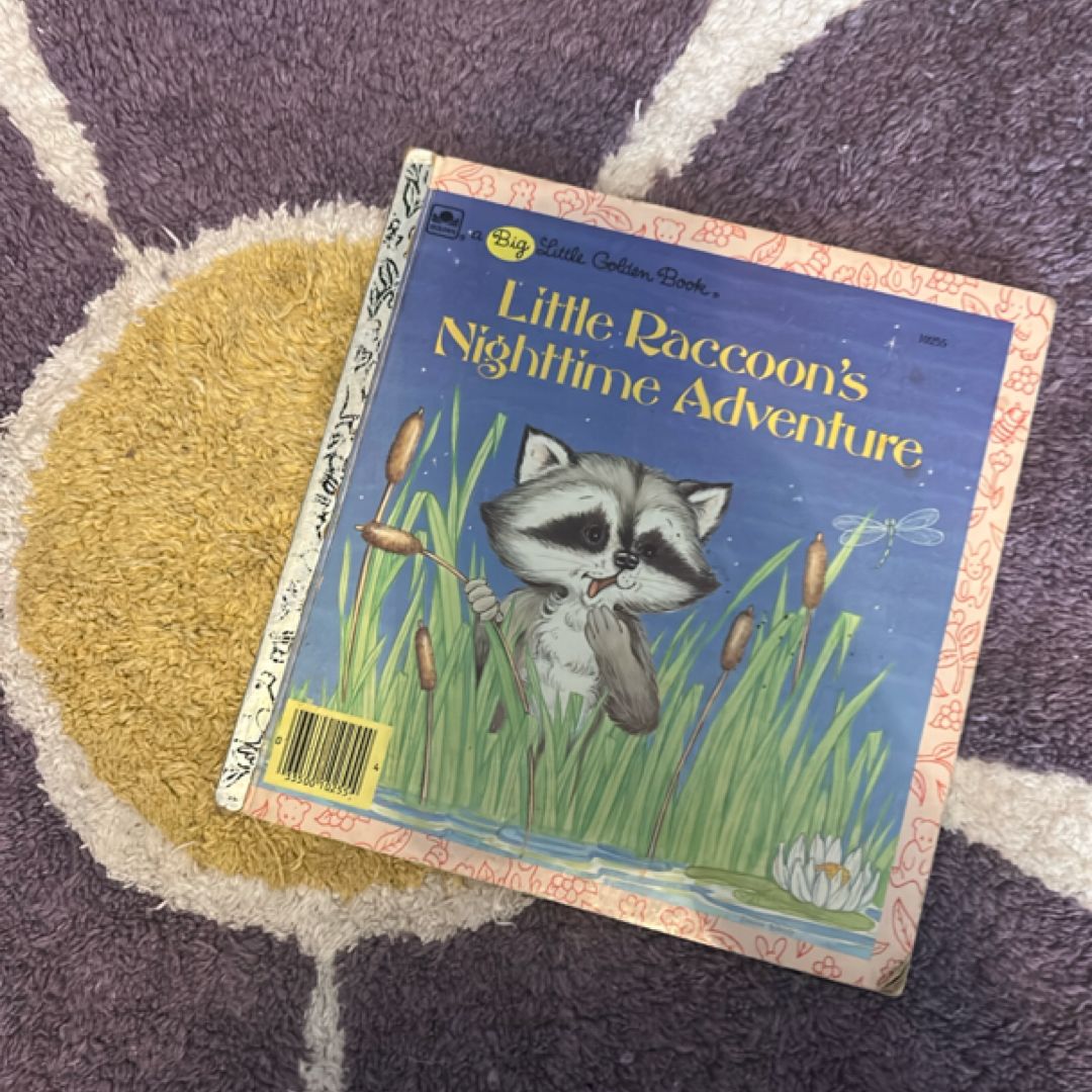 Little Raccoon's Nighttime Adventure