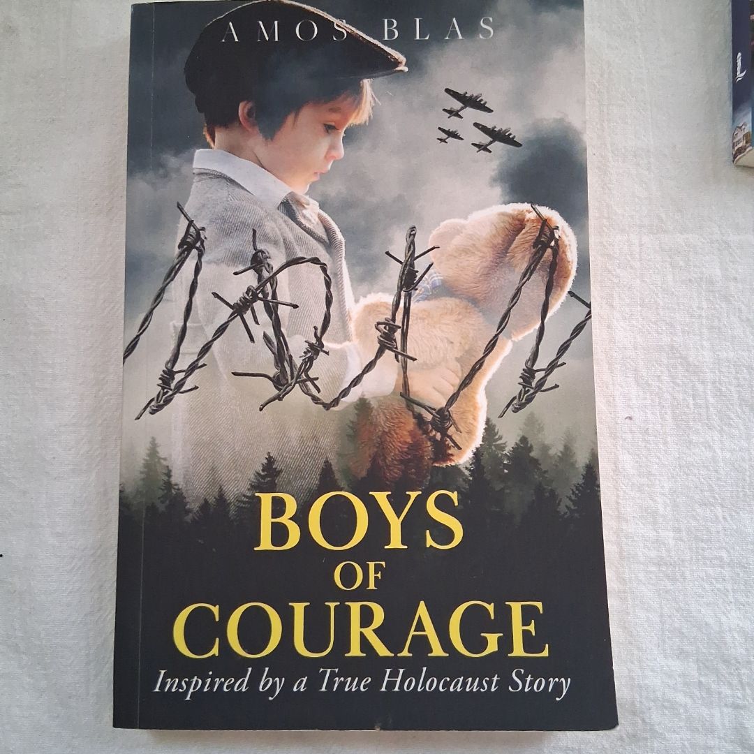 Boys of Courage: a WW2 Historical Novel, Based on a True Story of a Jewish Holocaust Survivor