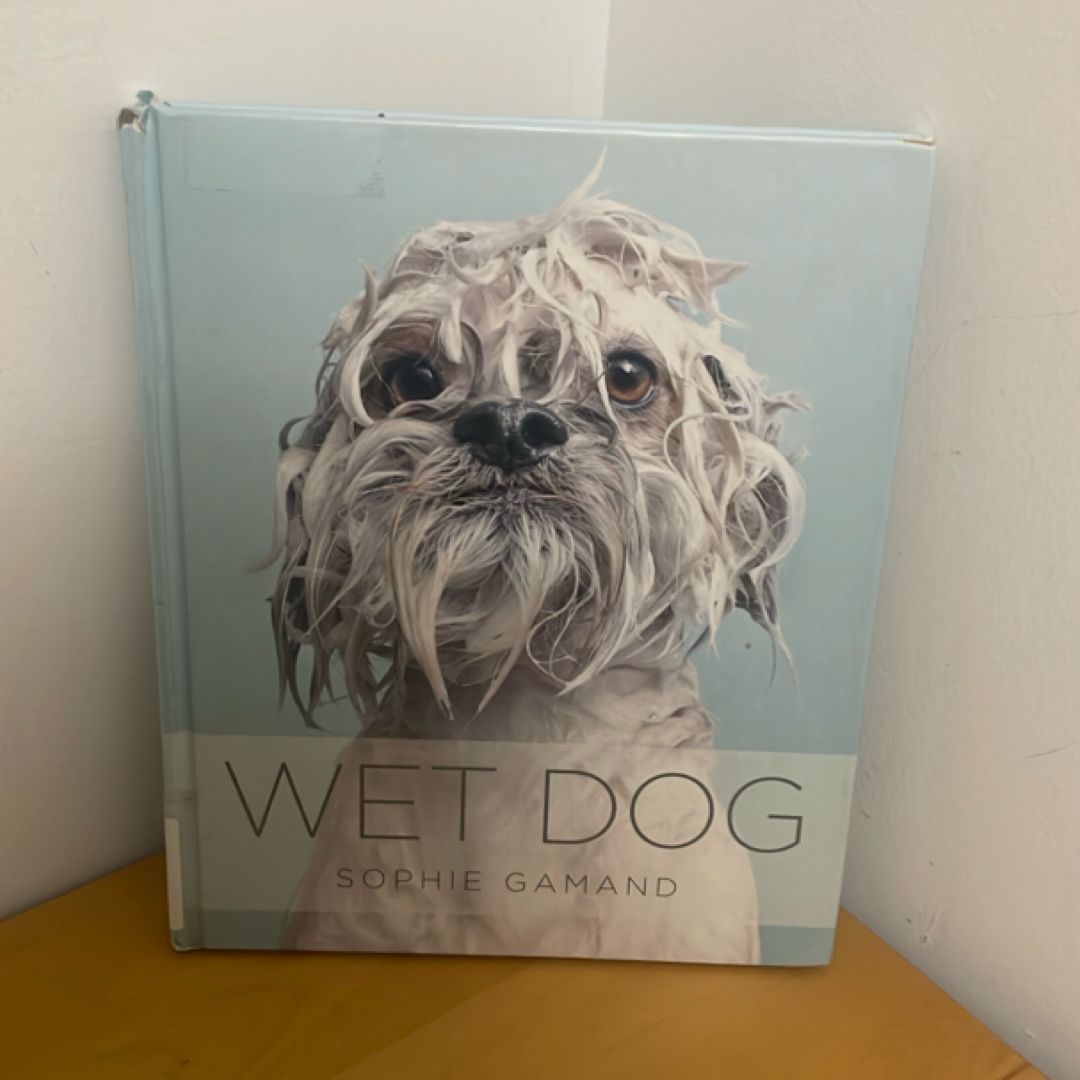 Wet Dog