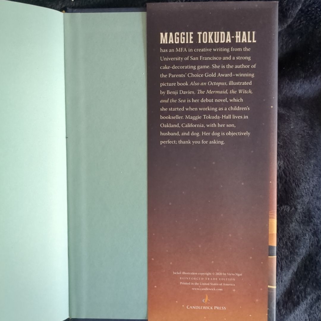 The Mermaid, the Witch, and the Sea