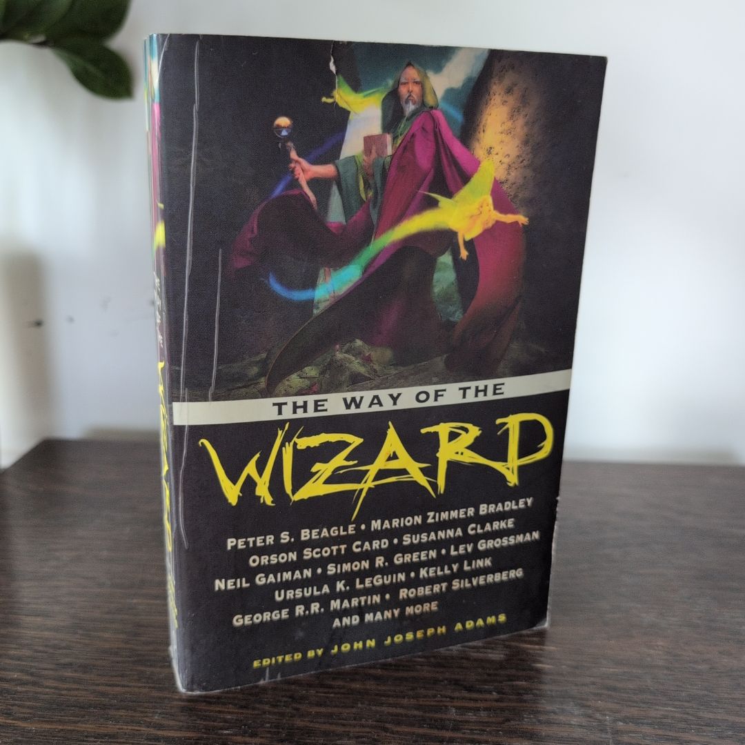 The Way of the Wizard
