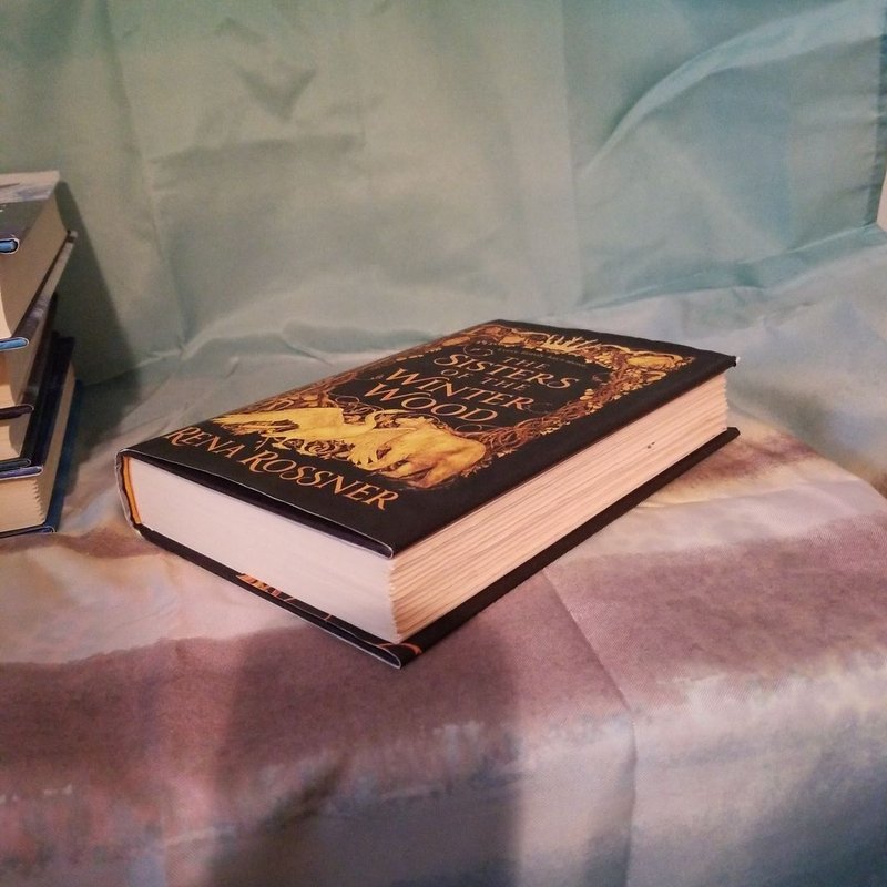 The Sisters of the Winter Wood