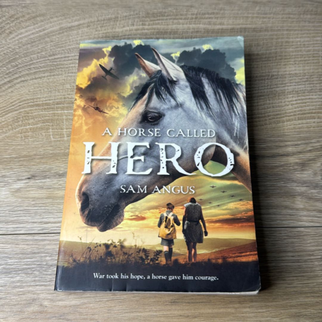 A Horse Called Hero
