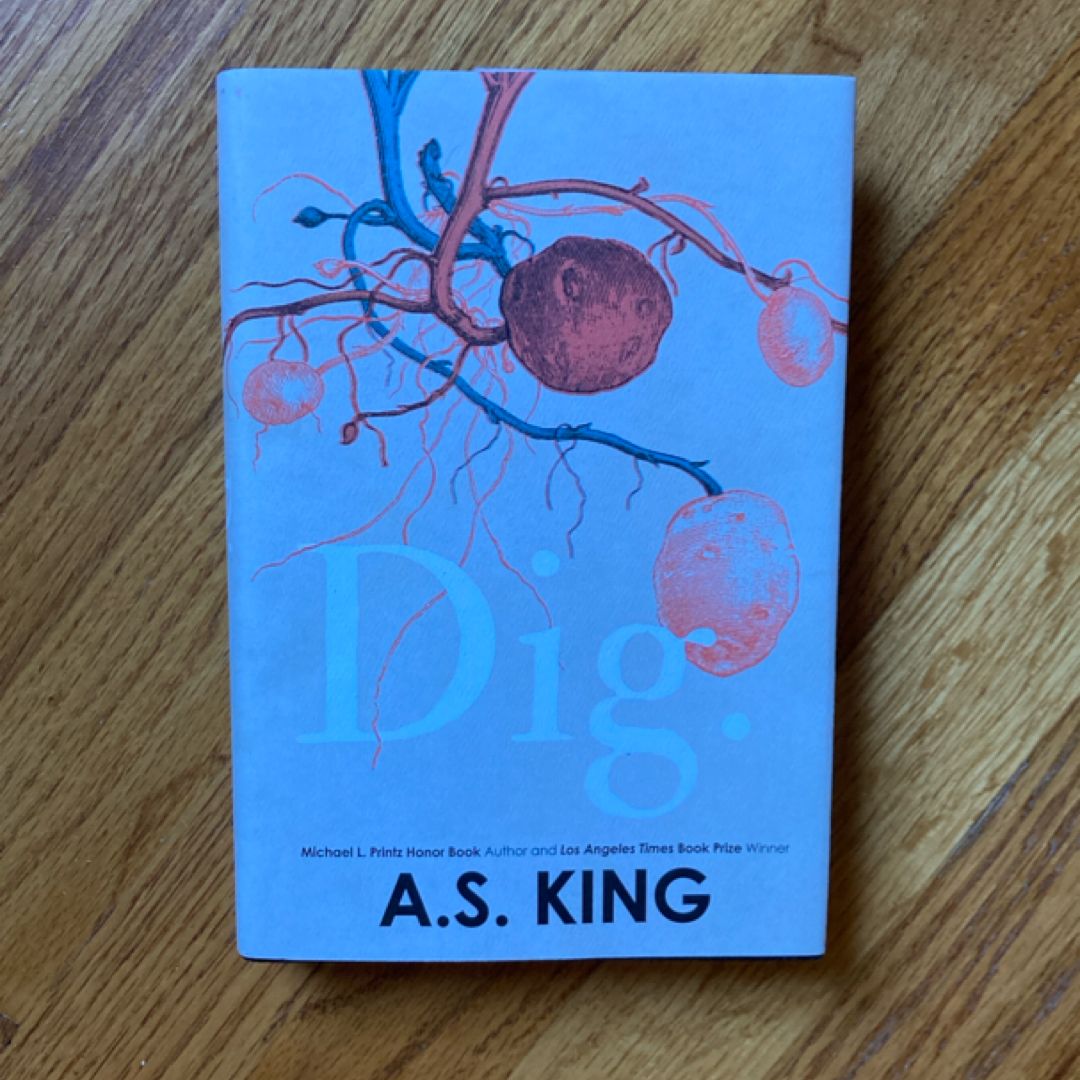 Dig