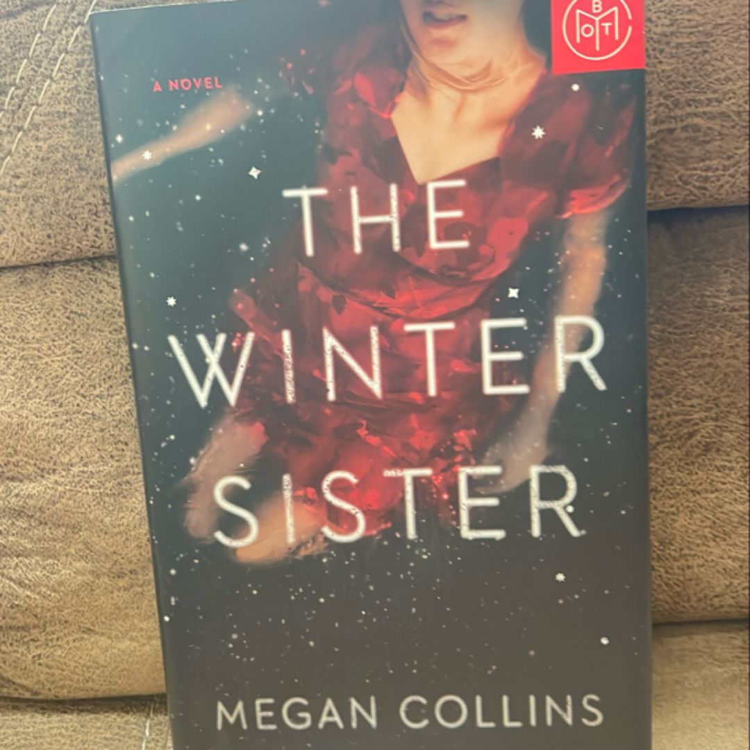 The Winter Sister