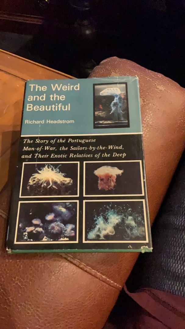 The Weird and the Beautiful