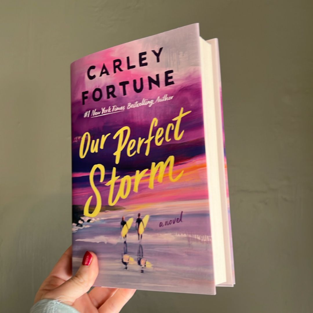 Our Perfect Storm