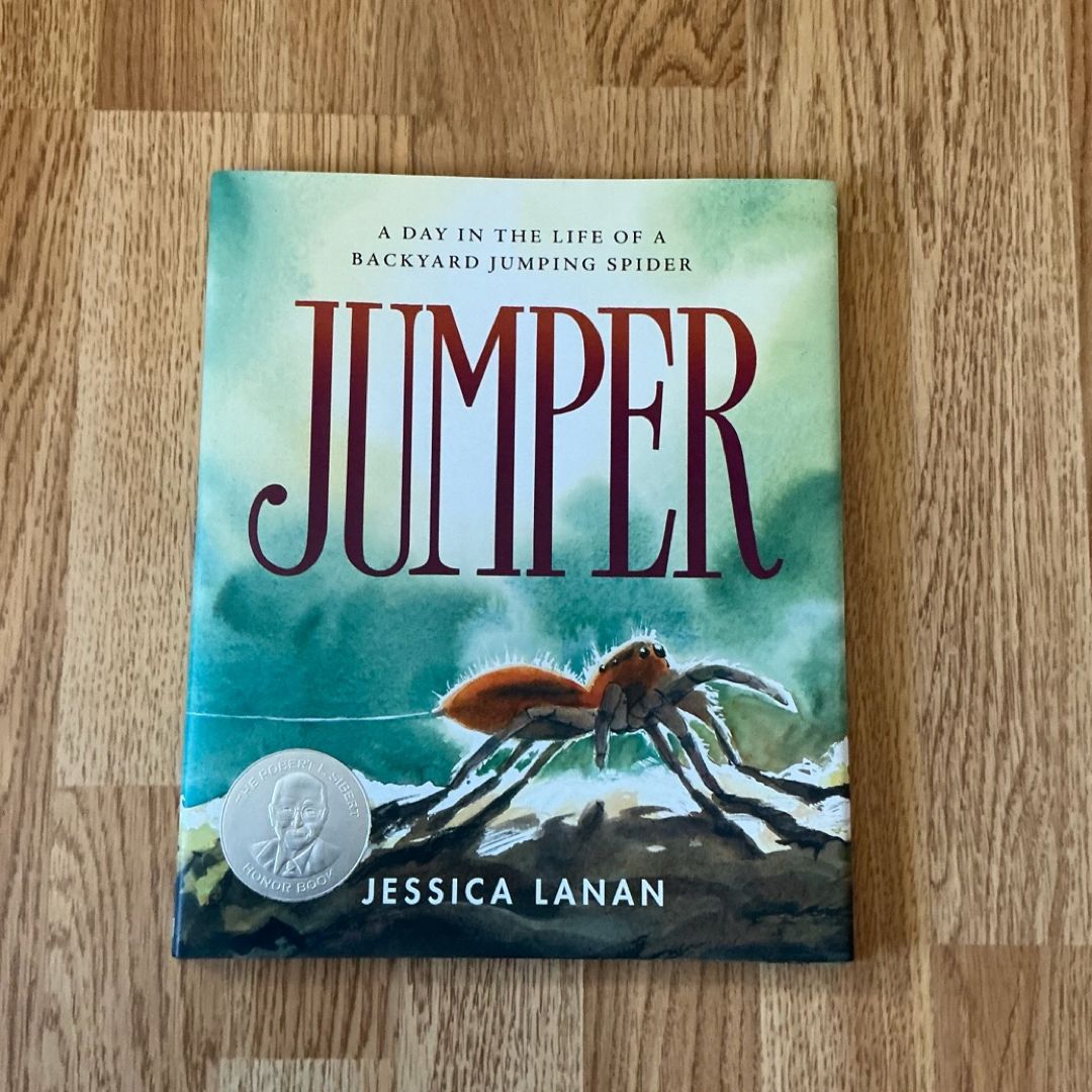 Jumper