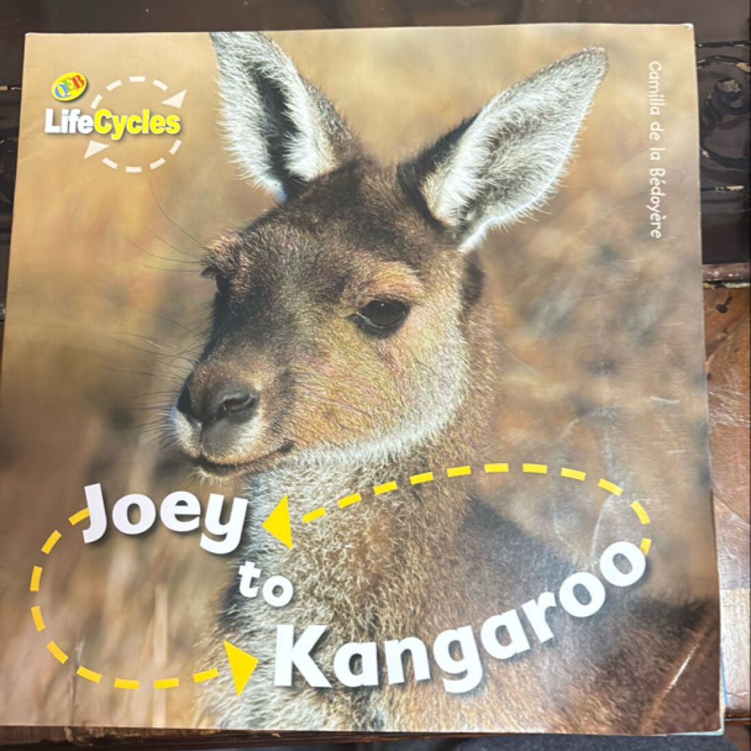 Lifecycles Joey to Kangaroo ScholBC SS